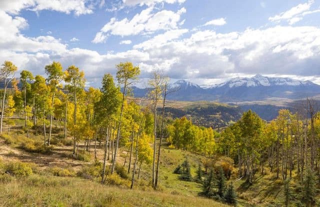 Check out the market in Telluride, CO 81435 (March 28, 2023)