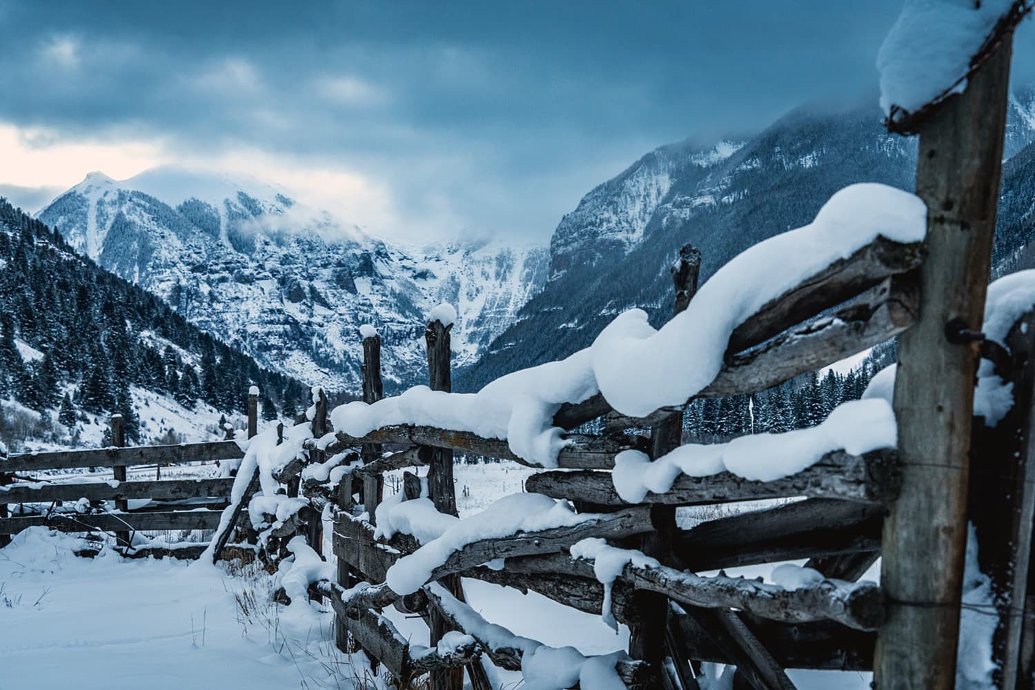 TELLURIDE PEAK SHEET: December 8 - 14