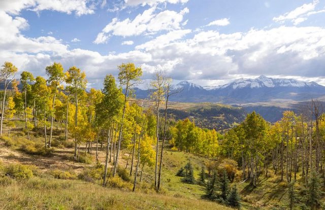Check out the market in Telluride, CO 81435 (March 28, 2023)
