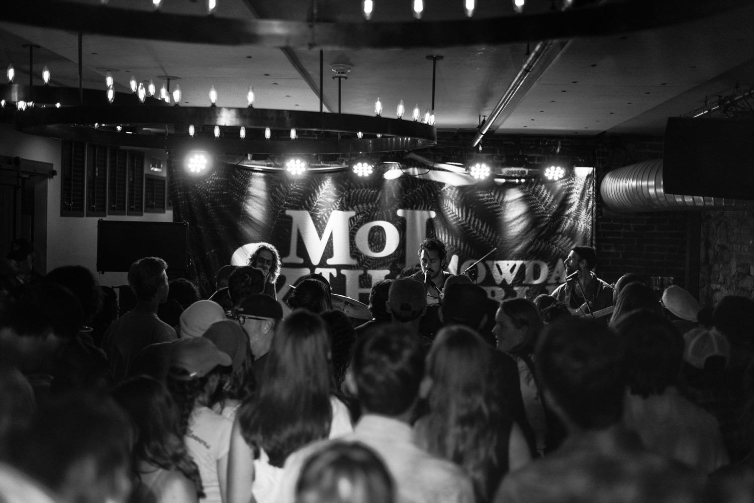 Experience the Best of Live Music in Telluride: Upcoming Shows at The Alibi
