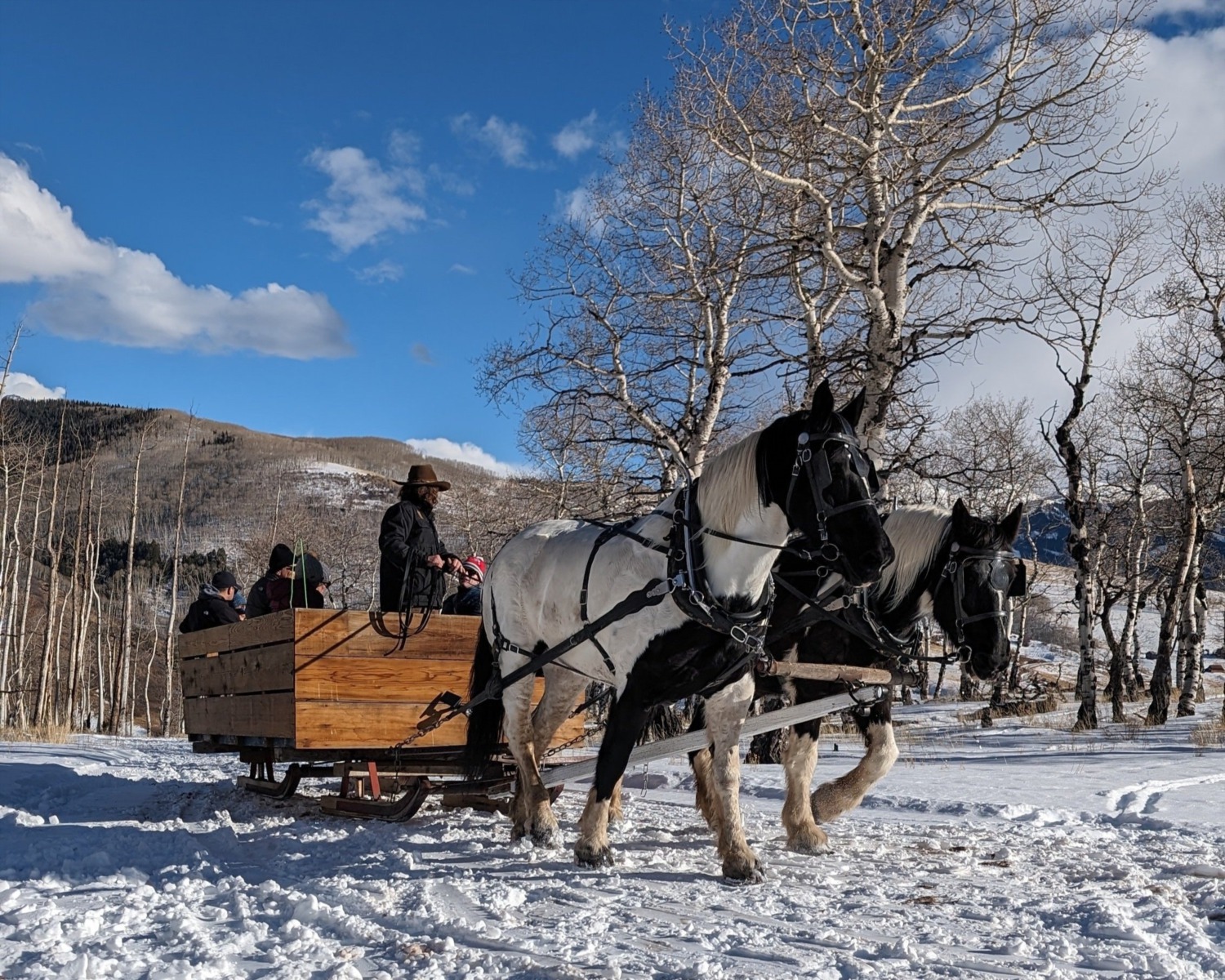 Experience Winter Magic with Telluride Sleighs and Wagons