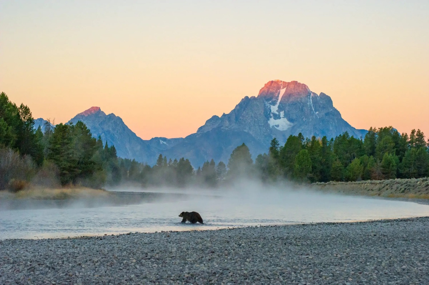 MountainFilm.Org Featured Film - 399: QUEEN OF THE TETONS