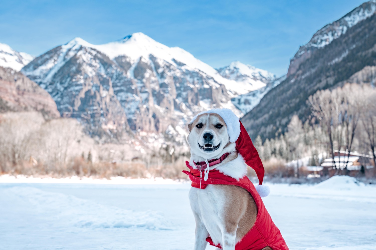 PEAK SHEET: December 26 - January 1, 2025