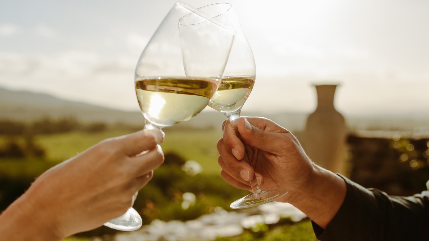 Sipping Clean: Mountain Rose Realty Now Partners with Scout & Cellar Wines