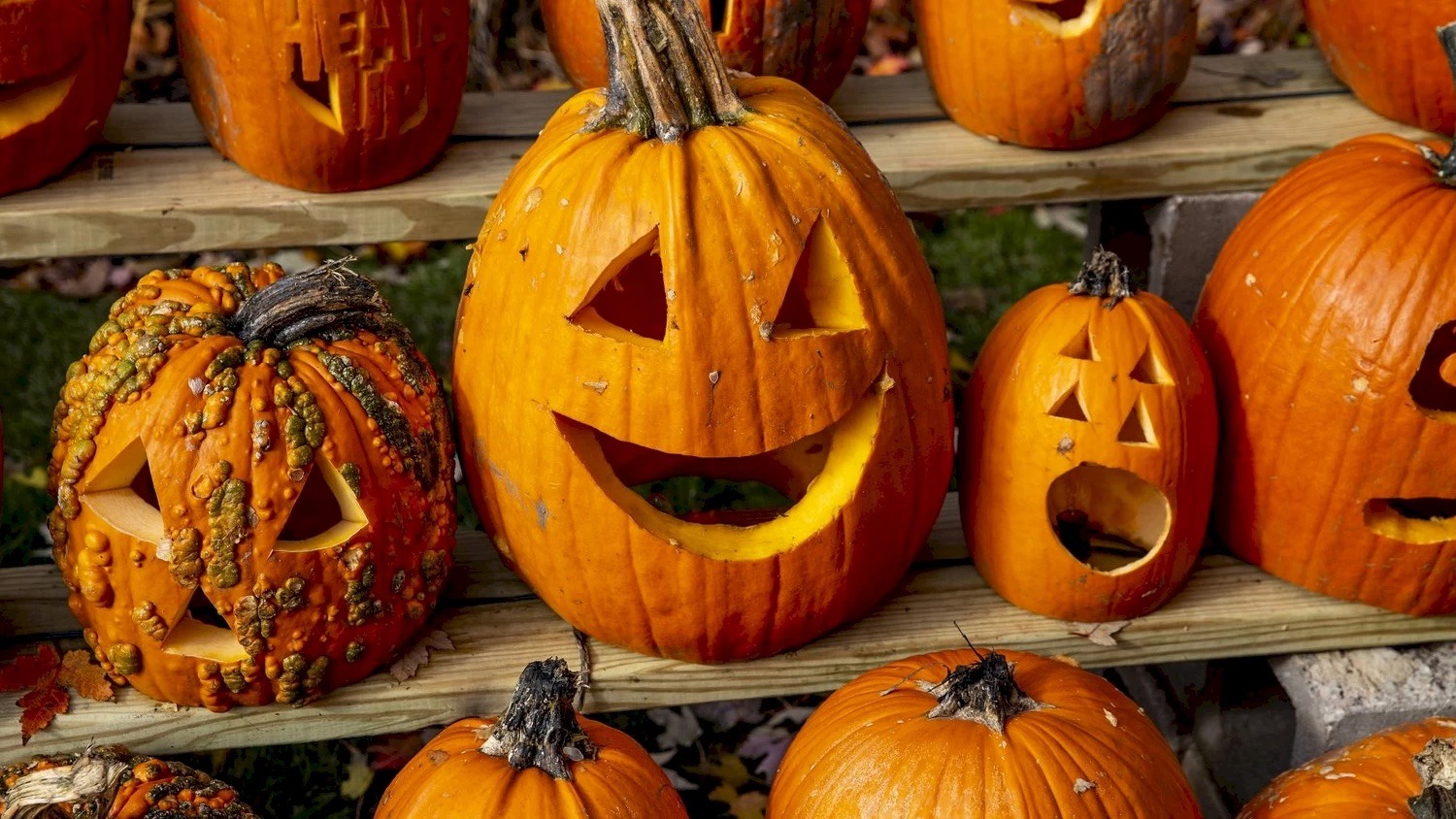 Spooky Fun Awaits: Top Halloween Events in Telluride This Weekend