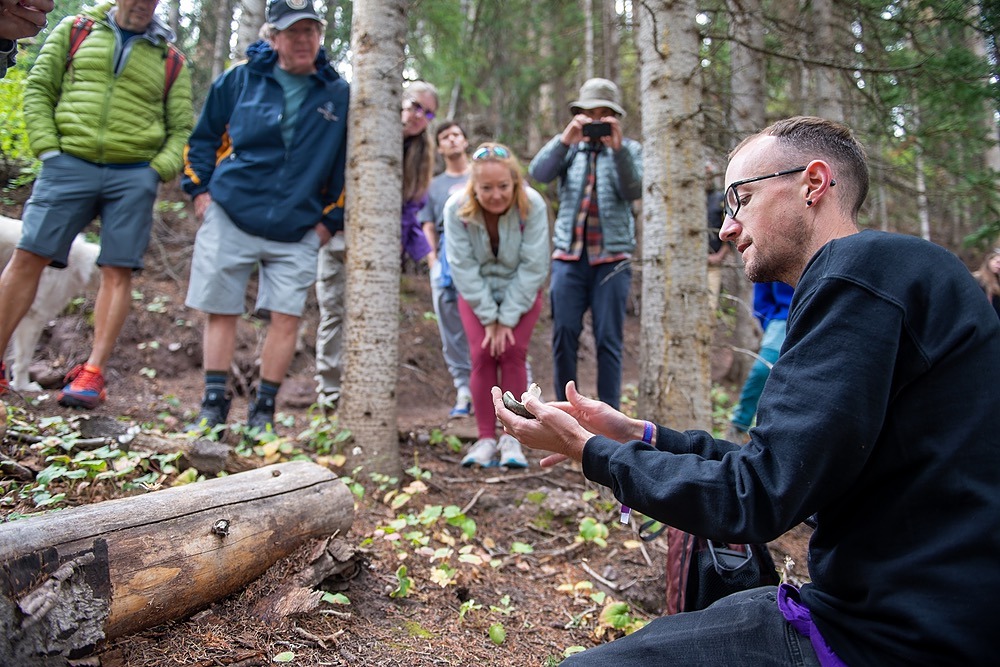 Telluride Mushroom Festival 2024 – Tickets Available Feb 4!