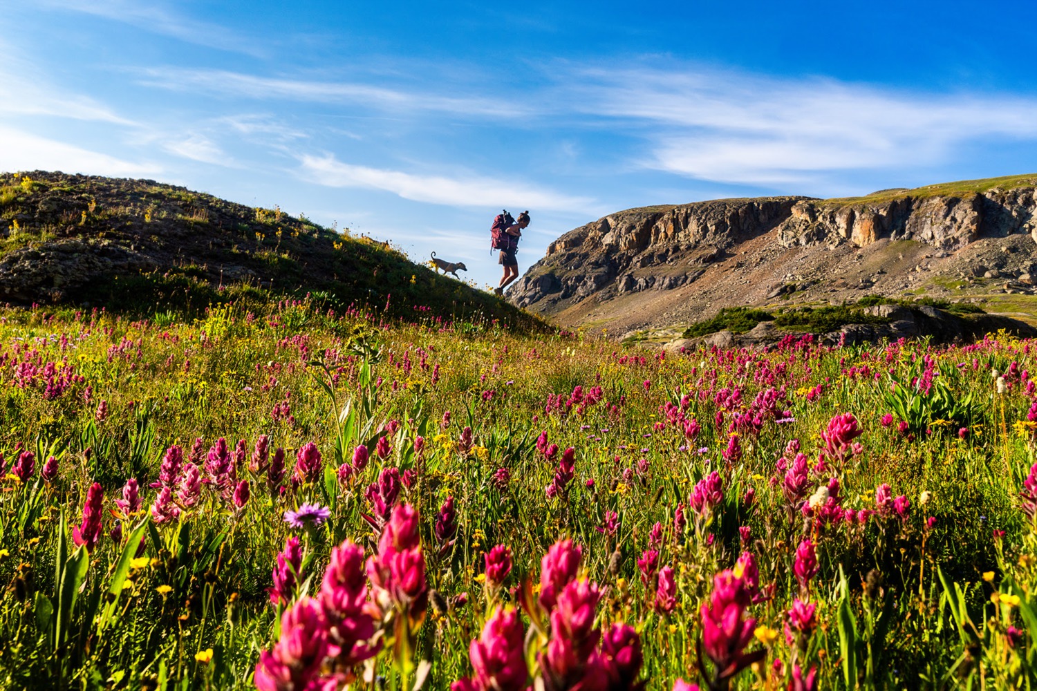 Telluride PEAK SHEET: August 8 - 14