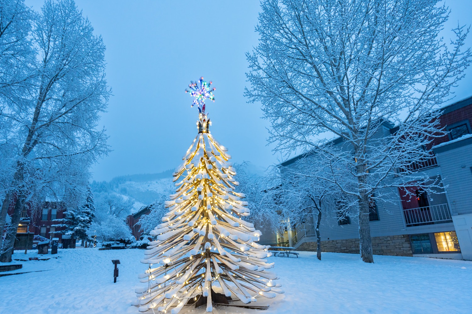 Telluride PEAK SHEET: December 25 – January 1
