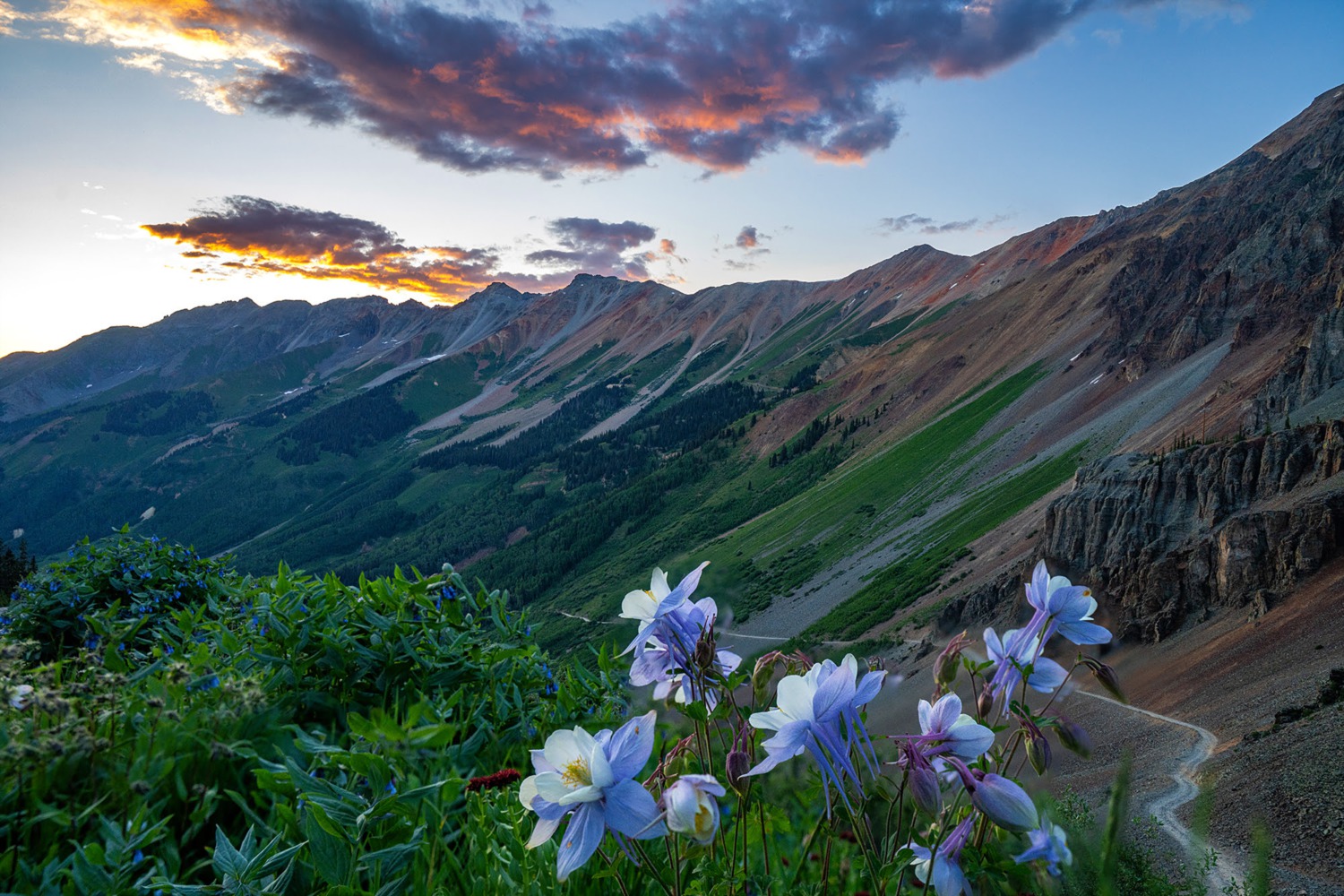 Telluride PEAK SHEET: July 18 - 24