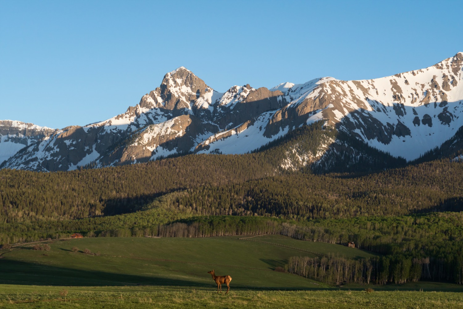 Telluride Peak Sheet: June 6 - 12