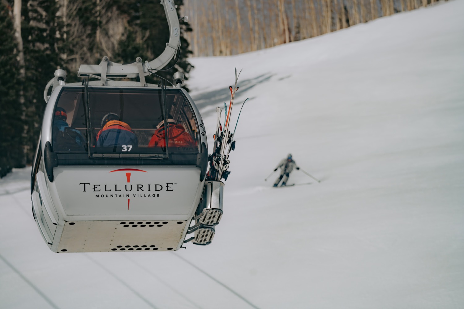 Telluride Peak Sheet: March 13 - 19, 2025 – Events, Music & Mountain Fun