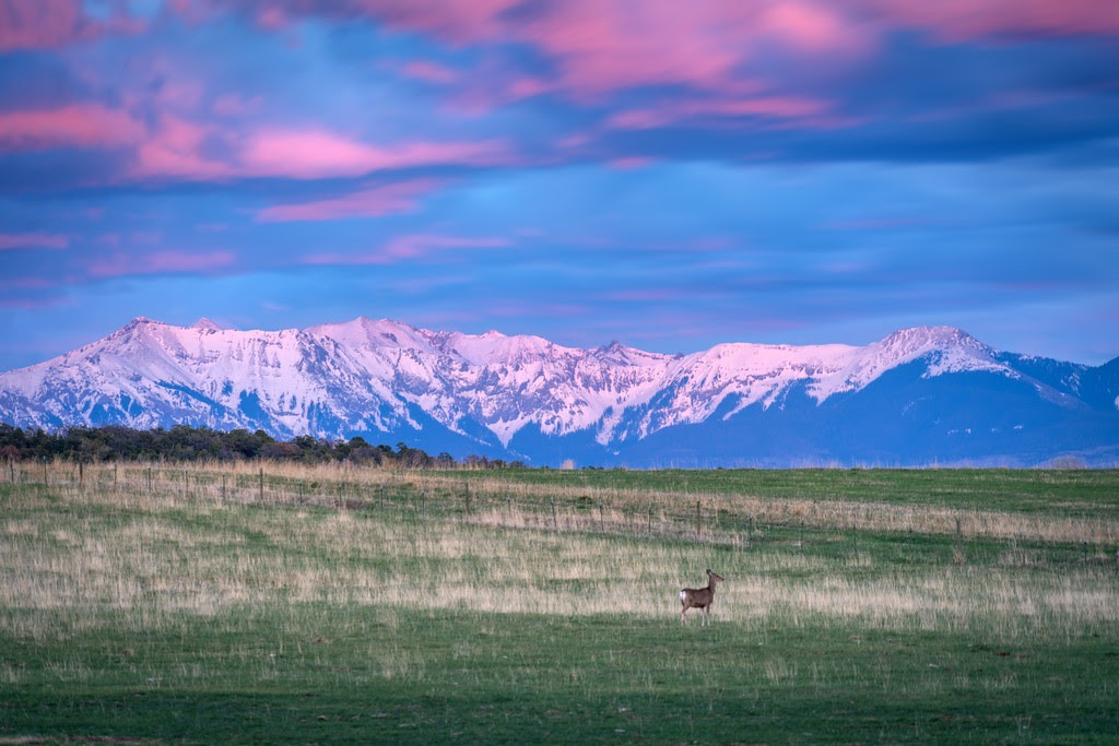 Telluride PEAK SHEET: May 23 - 29 — featured image