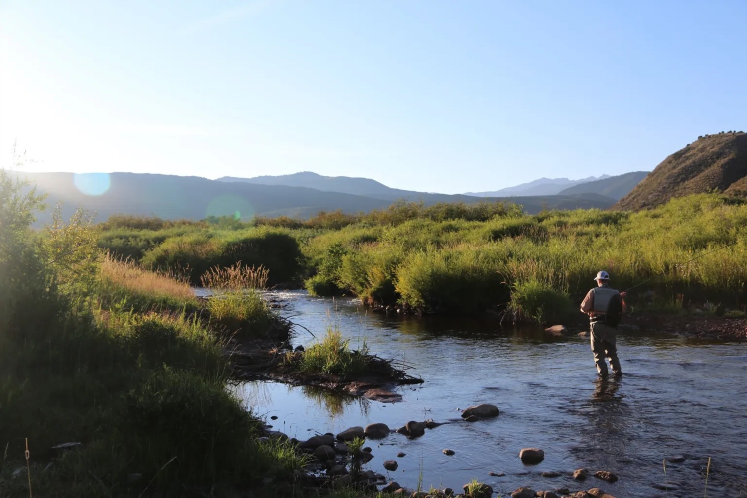 Top Fishing Rivers in Colorado: A Guide for Anglers & Outdoor Enthusiasts